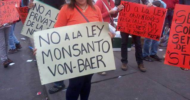 Campesinos y comunidades indígenas rechazan la nueva “Ley Monsanto” de Bachelet