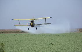 Estudio: Herbicidas de Monsanto dañan el ADN