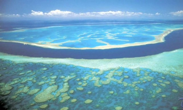 Ambientalistas piden investigar fracaso en protección de Gran Barrera de Coral