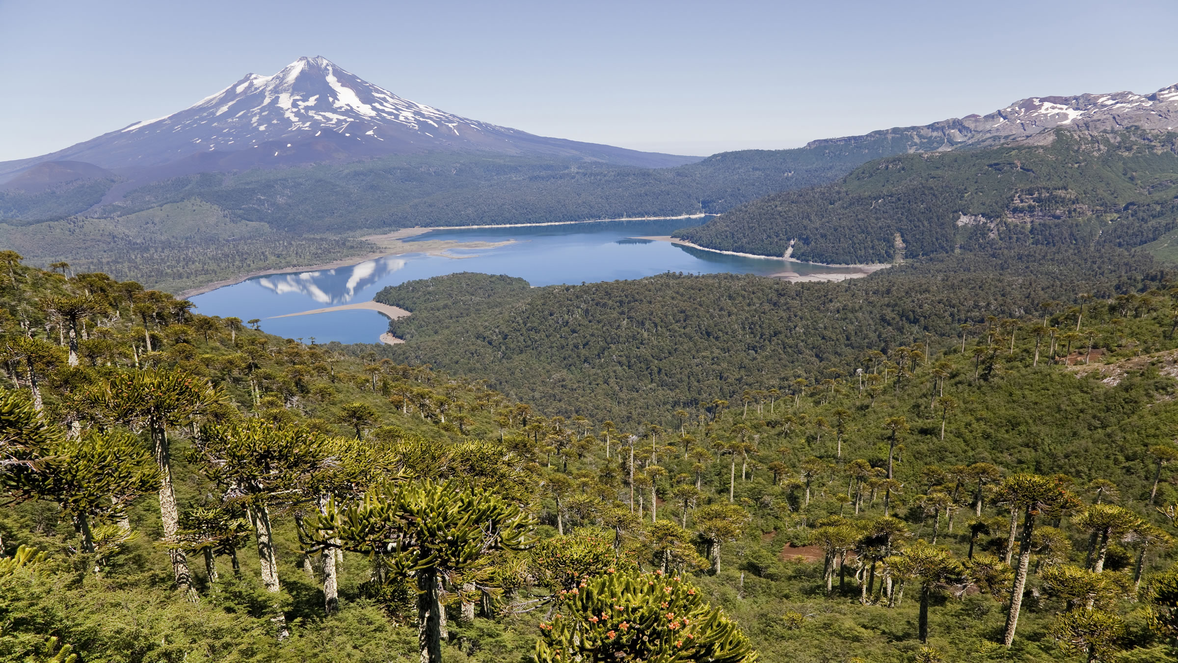 Conseguir financiamiento para mantener las áreas protegidas de Chile es el actual desafío