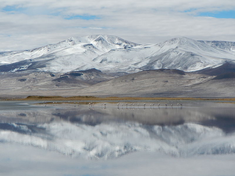 Consejo de ministros aprueba la creación del Parque Nacional "Salar de Huasco"