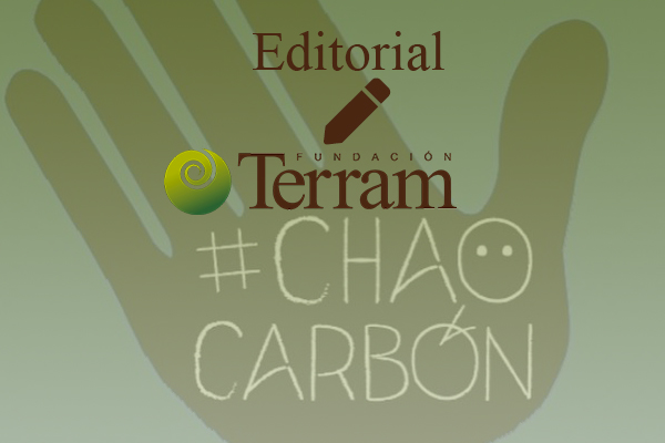 Editorial: Por un país sin Zonas de Sacrificio, Fundación Terram dice #ChaoCarbón