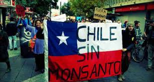 Ley Monsanto: Senador Navarro anuncia rechazo de la Nueva Mayoría y vuelta a comisiones