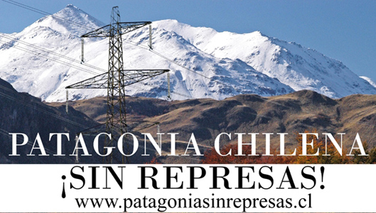 DECLARACIÓN PÚBLICA CONSEJO DEFENSA DE LA PATAGONIA