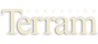 Terram lanza nuevo sitio web institucional