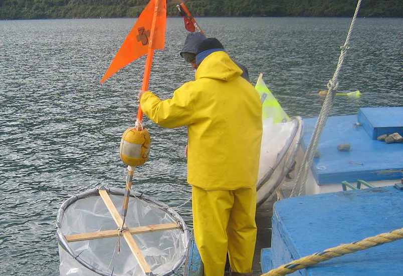 Buzo muere en faenas para empresa salmonera cerca de Puerto Aguirre