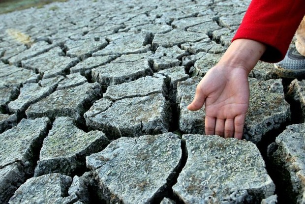 Cambio climático, ciencia y gestión ambiental