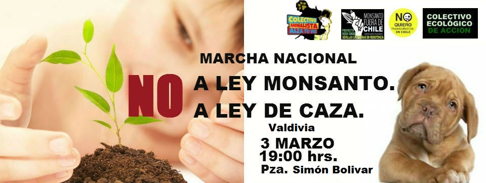 Marcha en rechazo a la ley de caza y en contra de la ley Monsanto en Valdivia