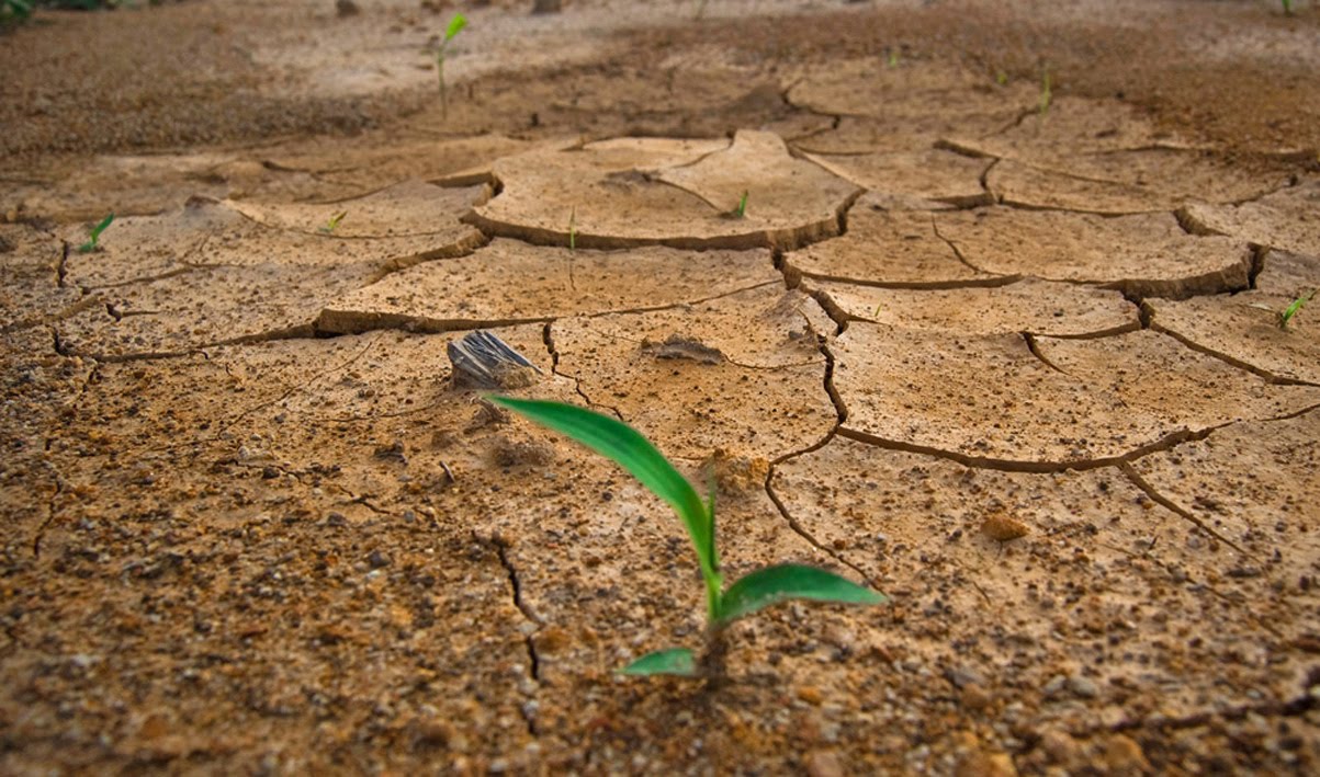 Llaman a autoridades a tomar medidas urgentes para enfrentar sequía y cambio climático