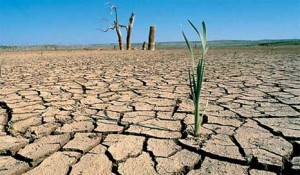 Agricultura revisará marco normativo para garantizar el recurso hídrico
