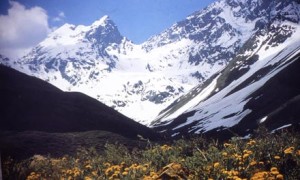 República Glaciar: Greenpeace funda un nuevo país en territorio no reconocido por Chile