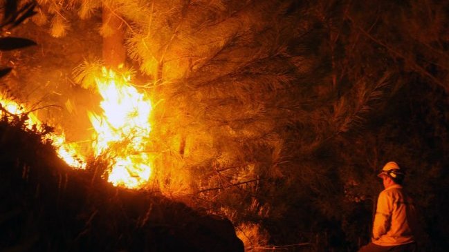 Incendio forestal en Aysén no se ha extendido del perímetro y ha consumido 3 mil hectáreas
