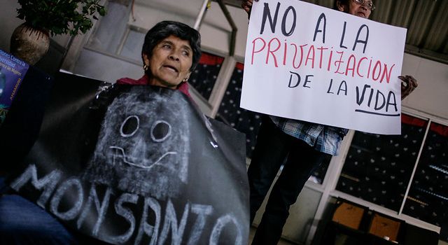 Agrupaciones indígenas presentan denuncia por Ley Monsanto ante Relator Especial ONU