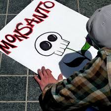 Indígenas y campesinos dicen que ‘peligro’ no ha terminado con retiro de la llamada Ley Monsanto