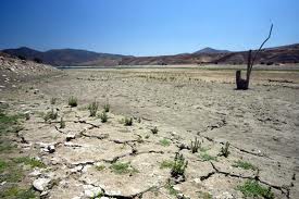 Petorca triunfa: DGA revoca derechos de agua a Edmundo Pérez Yoma y a otros empresarios