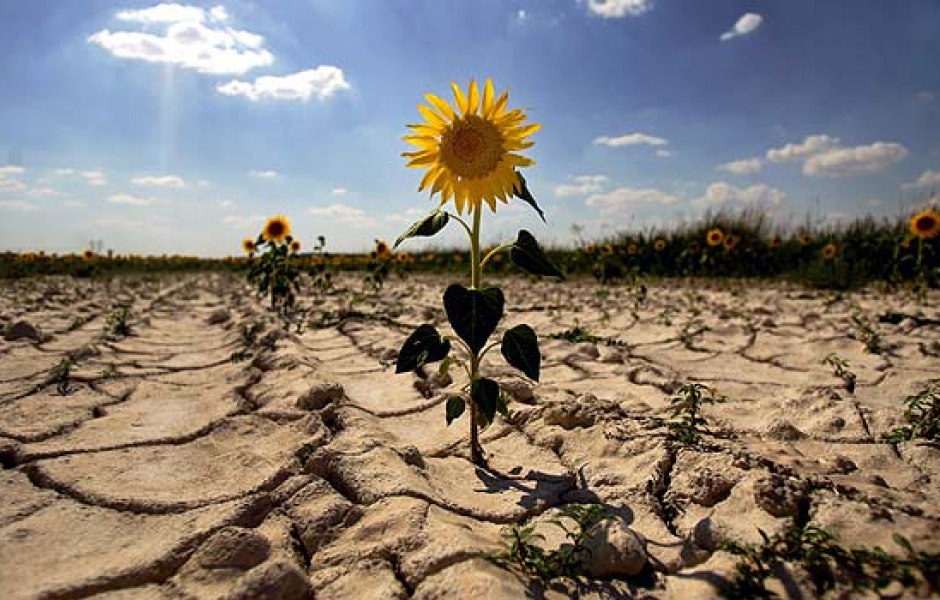 Gobierno anuncia que revisará derechos de agua en todas las cuencas en sequía