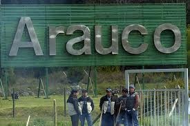 Aseguran que comunidades mapuche fueron consultadas por ampliación de Celulosa Arauco en Horcones