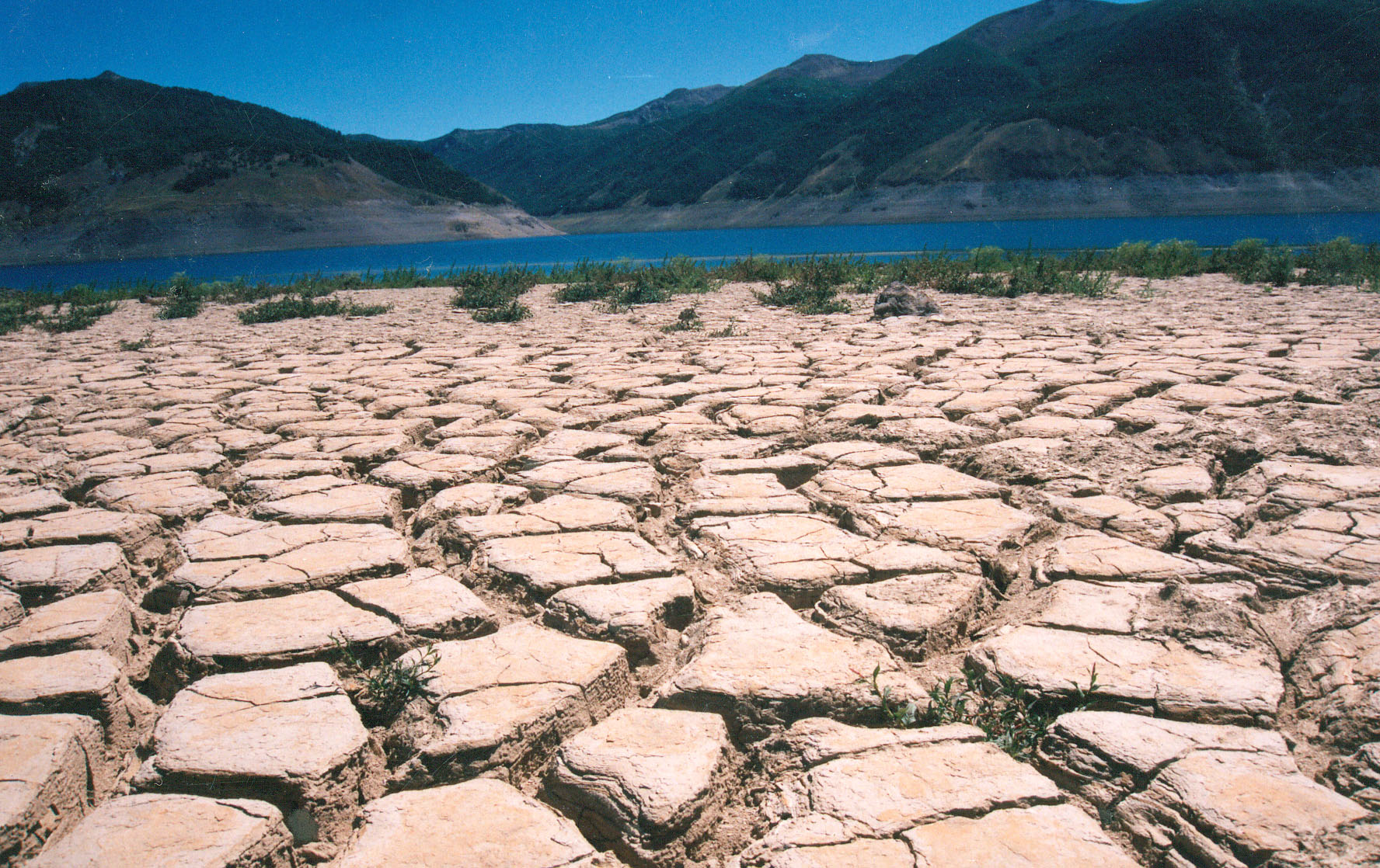 Difunden resultados de estudio de desertificación y degradación de tierras por Cambio Climático