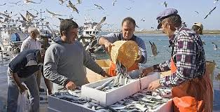 RAÚL SUNICO: Es Urgente Perfeccionar la Protección Social en Ley de Pesca