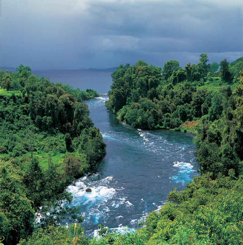 DGA restringe parte de río Bueno y suspende entrega de derechos de aprovechamiento de agua