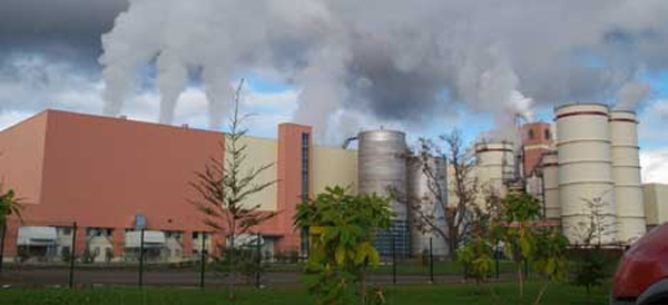 Gobierno aclara que comité técnico no sancionará concesiones para ducto de Celulosa Arauco