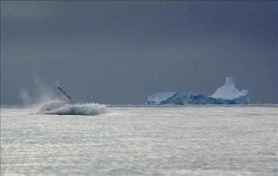 Cambio climático provocó una mayor intensidad de los vientos antárticos