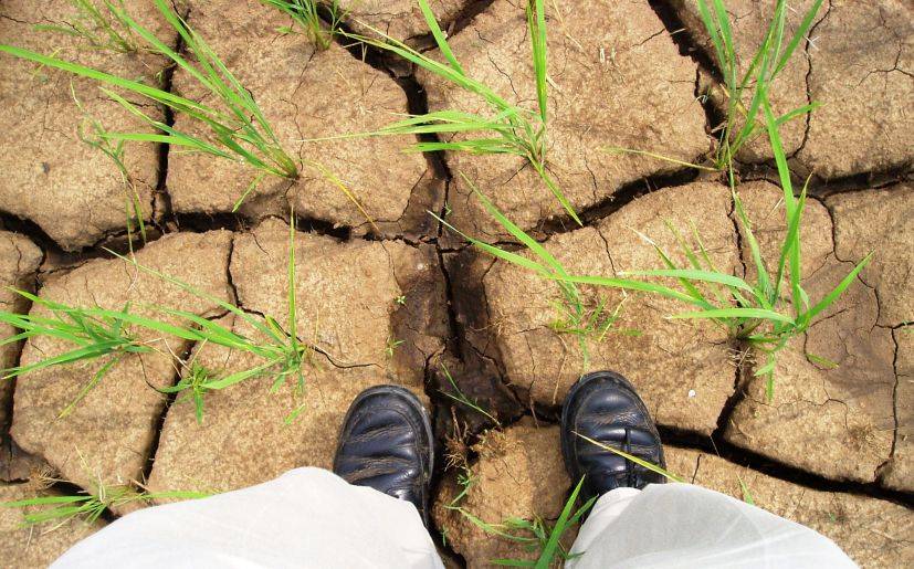 Sequía: Agricultura anuncia recursos adicionales por más de $ 2.000 millones