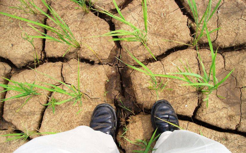 Calentamiento Global: Solo el compromiso político salvará al planeta