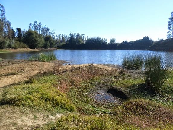 Vecinos denuncian demencial destrucción de laguna y santuario natural de Valparaíso