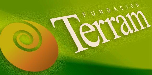 Boletín de noticias Terram no se enviará en el mes de febrero 2015