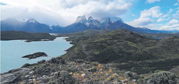 Conservación y medio ambiente: La revolución que viene