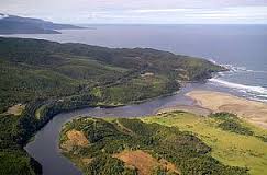 Reserva Costera Valdiviana es el área de conservación más grande de Chile
