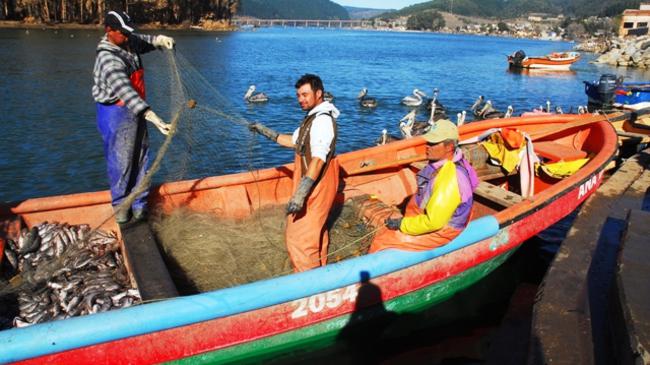 Viña del Mar: Pescadores latinoamericanos se reúnen en encuentro internacional