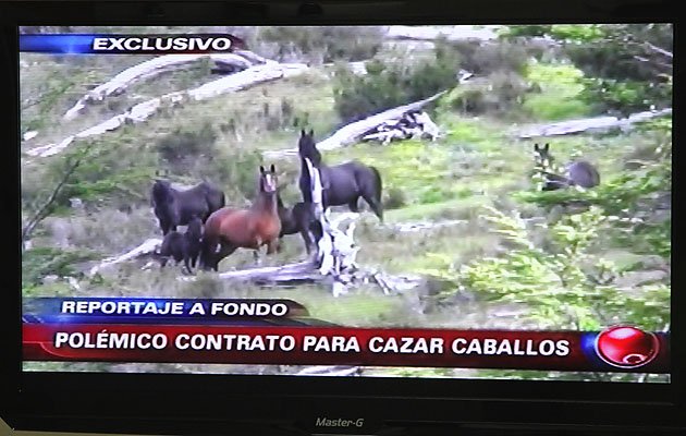 DECLARACION PÚBLICA FUNDACION YENDEGAIA
