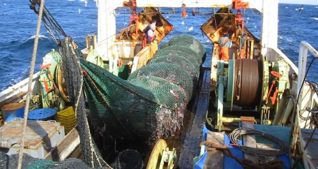 Pescadores denuncian “traición” de subsecretario en beneficio de la gran industria
