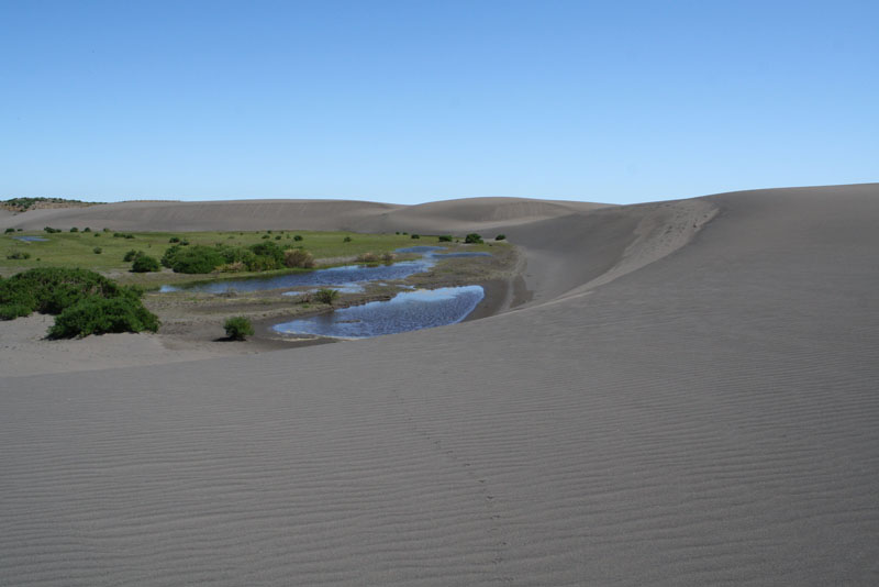 Denuncian nueva obra en las dunas de Ritoque de hotel Decameron