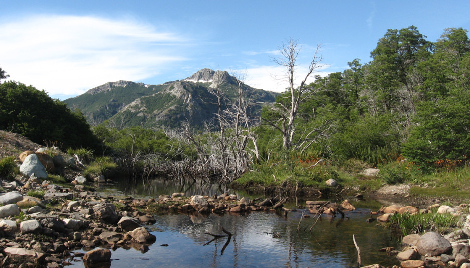 Ministerio del Medio Ambiente creó Comité Nacional para la Protección de las Montañas
