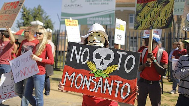 Carlos Furche y ajustes a ‘Ley Monsanto’: “Uso de semillas para pequeños agricultores no tendría límites”