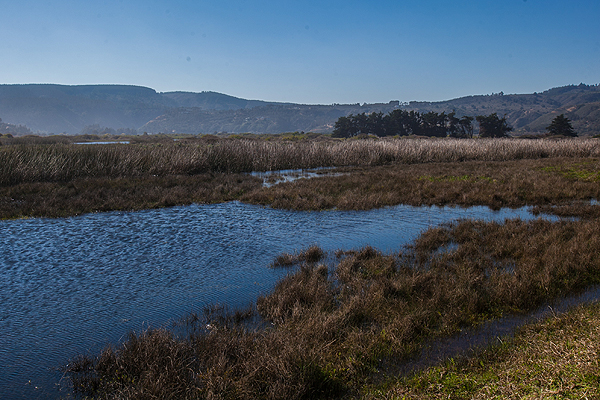 Nuevo Código de Aguas Caducidad y límite de 30 años a derechos de agua que plantea el gobierno alertan a la oposición