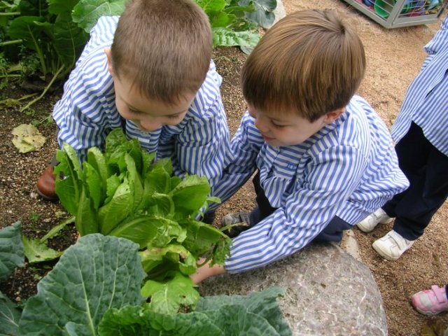 57 mil niños de jardines tendrán educación verde