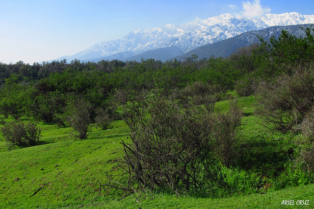 Parques chilenos, testigos del cambio climático