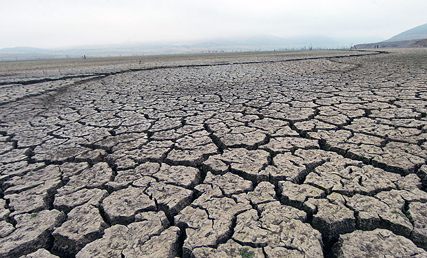 US$ 620 millones en pérdidas y 50 mil puestos de trabajo corren peligro por sequía