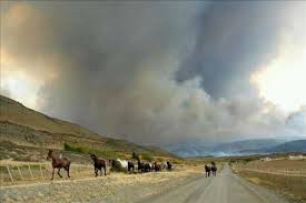 Corte de Santiago ratifica fallo que acogió reparación ambiental por incendio en Torres del Paine