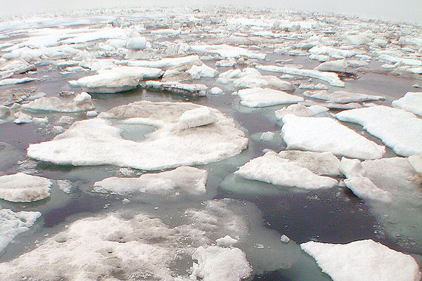 El hielo antártico, muy sensible al cambio climático, influye mucho en clima