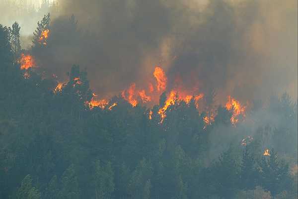 Incendio sin control arrasa con la Reserva Natural China Muerta y el fuego se acerca al Parque Nacional Conguillio en la comuna de Melipeuco