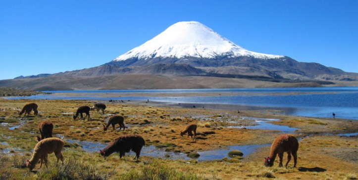 Otra mirada al tema ambiental como desafío para el 2015