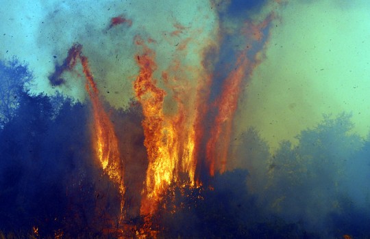 Onemi: 26 incendios activos en Chile afectan 11.597,4 hectáreas