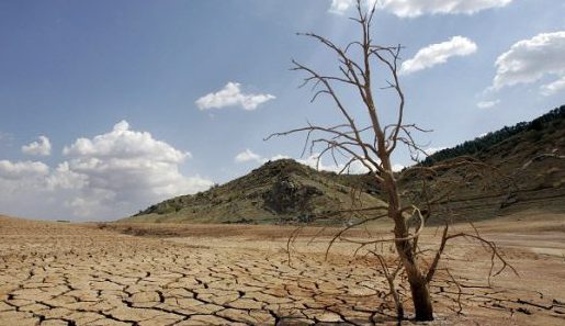 Bancos centrales piensan más ecológicamente por cambio climático