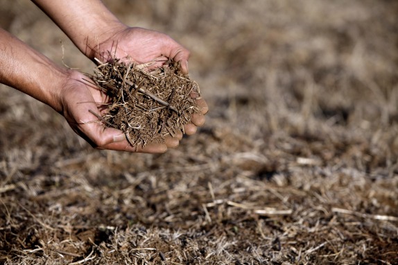 Estudian efectos del cambio climático en los suelos de Ñuble