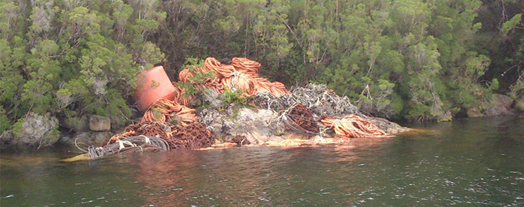 SMA formula cargos en contra de Salmones Blumar S.A. por incumplimientos ambientales y sanitarios